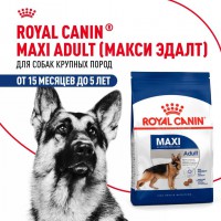 Royal Canin Maxi Adult     - zooural.ru - 