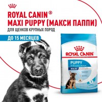 Royal Canin Maxi Puppy     - zooural.ru - 