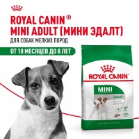 Royal Canin Mini Adult     - zooural.ru - 