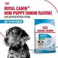 Royal Canin Mini Puppy - zooural.ru - 