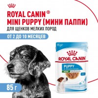 Royal Canin Mini Puppy    - zooural.ru - 