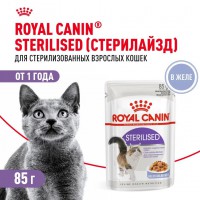 Royal Canin Sterilised влажный корм в желе - zooural.ru - Екатеринбург