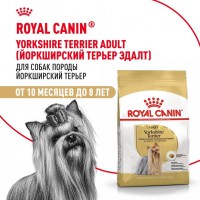 Royal Canin Yorkshire Terrier Adult     - zooural.ru - 