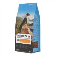 ����� ���� ��� ����� ���� ����� ������/����� ������� ������� - zooural.ru - ������������