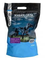   (JJ-Sport)      - zooural.ru - 
