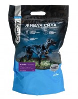   (JJ-Sport)      - zooural.ru - 