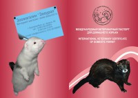 Паспорт ветеринарный для хорьков красный - zooural.ru - Екатеринбург