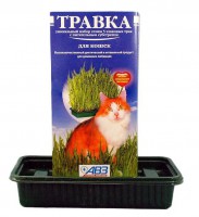 Травка для кошек в лотке АВЗ - zooural.ru - Екатеринбург