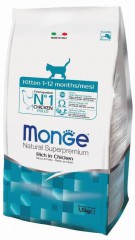 Monge Cat    - zooural.ru - 