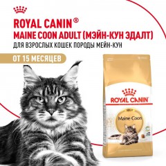 Royal Canin Maine Coon Adult     - zooural.ru - 