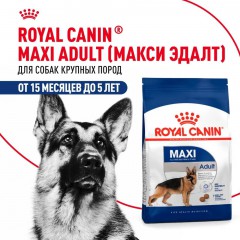 Royal Canin Maxi Adult     - zooural.ru - 