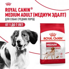 Royal Canin Medium Adult     - zooural.ru - 