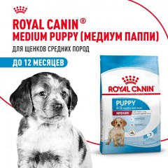 Royal Canin Medium Puppy     - zooural.ru - 