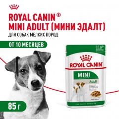 Royal Canin Mini Adult      - zooural.ru - 