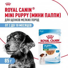 Royal Canin Mini Puppy    - zooural.ru - 