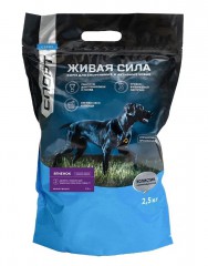   (JJ-Sport)      - zooural.ru - 